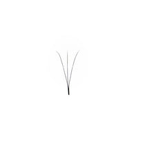 Load image into Gallery viewer, 5D LASH LOOSE FAN 0.07 CC