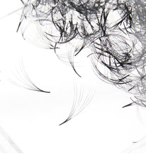Load image into Gallery viewer, 10D LASH LOOSE FAN 0.03 CC